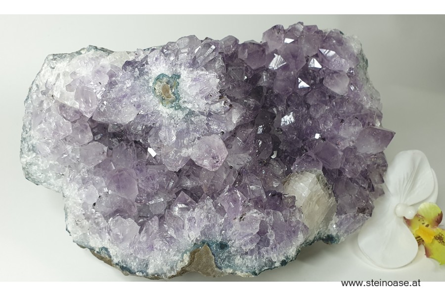 Amethyst Kristall mit Rosetten